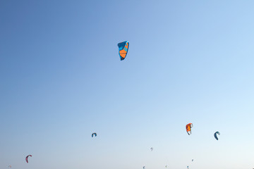 Kites in the blue sky
