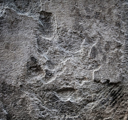Closeup of gray porous stone textured wall. For background, product designs or skin luxurious.