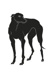 dog stands, silhouette, vector