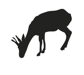 vector illustration gazelle drawing silhouette,