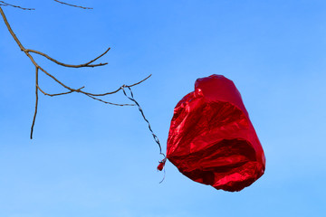 Red deflated balloon tangled above a branch against a blue sky