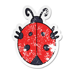 distressed sticker of a cartoon ladybug