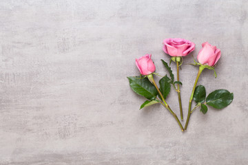 Flowers valentine day composition. Frame made of pink rose on gray background. Flat lay, top view, copy space.