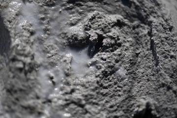 Fresh cement in a bucket.