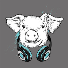 Funny pig in headphones and glasses. Cute pig. Music and sound. Vector illustration for greeting card or poster.