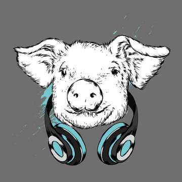 Funny pig in headphones and glasses. Cute pig. Music and sound. Vector illustration for greeting card or poster.