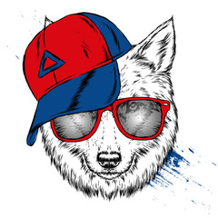 Wolf hipster in a cap and glasses. Pretty dog. Vector illustration for postcard, print on clothes. Fashion & Style.