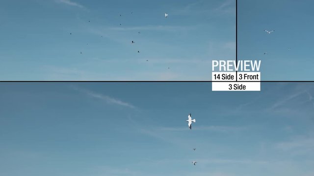 A flock of flying sea gulls with alpha channel in three different animations. 3 and 14 gulls from the side and 3 gulls from the front.