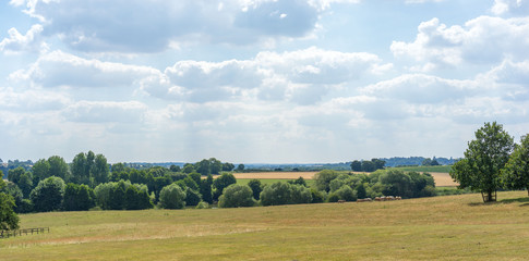 Fototapeta na wymiar british countryside on a summers day