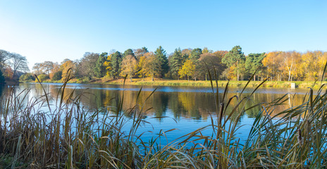 Looking across a lake at autumnal trees in morning sun