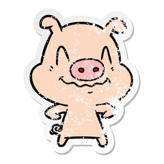 distressed sticker of a nervous cartoon pig