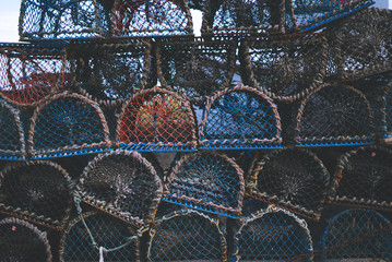 Lobster Nets