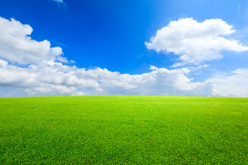 Fototapeta na wymiar Green grass and blue sky with white clouds