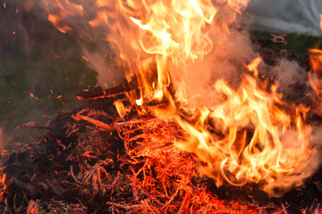 Burning pile of tree limbs and dry leaves in garden