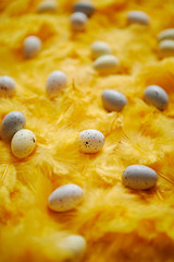 Composition of pastel easter eggs lie among of yellow feathers for holidays