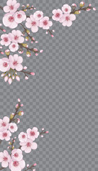 Fototapeta na wymiar Fresh sakura flower frame vertical. The idea of fabric, invitations, packaging, cards, story. Magenta on white fond. Handmade background in oriental style.