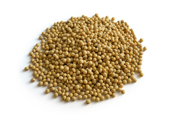 Soybean on white background