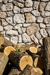 Log of a cut circular trunk, where the tree annual growth rings can be seen. Untidy stack of firewood. Ivy leaves attached to the bark of the tree. Stone and cement wall in the background.