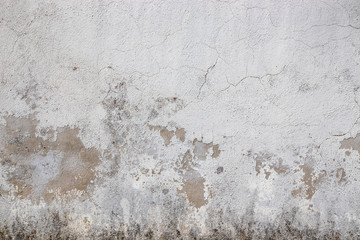 Gray wall ruined by time, bad weather and humidity. Cracks, mold, peeling paint and plaster....