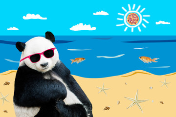 Cute Panda wears sunglasses in the beach