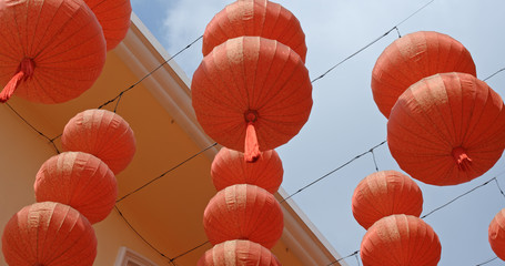Chinese new year red lantern