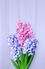 Bouquet of hyacinths on wooden background.