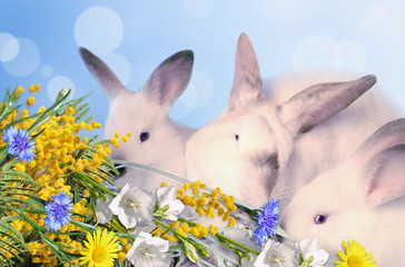 Rabbits and a bouquet of flowers.