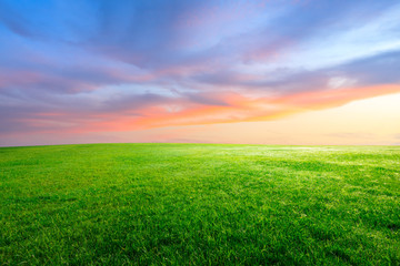 Green grass and beautiful sky at sunset