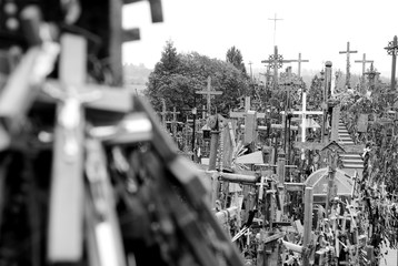 lot of cross in cemetery