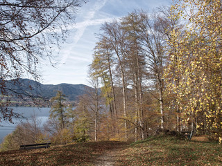 Vue sur le lac de Tegernsee dans les Alpes bavaroises en Allemagne depuis le site de Paraplui