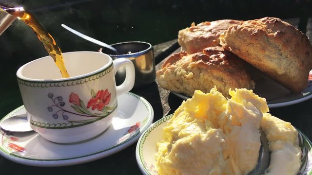 Traditional English cream tea with a spread of fresh baked scones pot of jam and dollops of clotted cream poured outdoors on a rustic country table in bright afternoon sun