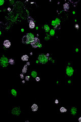 Metallic Coloured Paint Drips Splatters and spots for Background