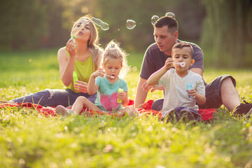 Fototapeta premium Happy family in the park on a sunny day blow soap bubbles..