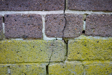 old stone wall with green moss