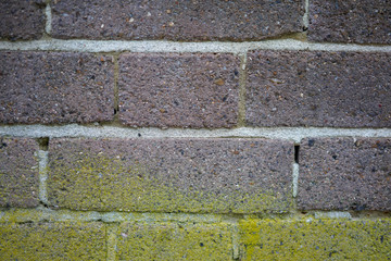 old brick wall with green grass