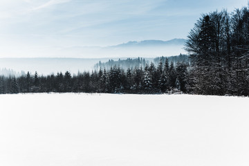 blue cloudy sky and winter snowy mountain forest in carpathians