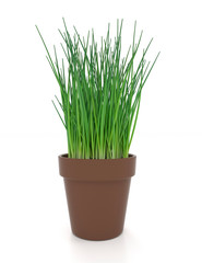 3d illustration of green onions in a pot on a white background.