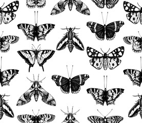 Vintage butterflies seamless pattern. Vector background with high detailed insects sketches. Hand drawn illustrations. Vintage entomological drawings.