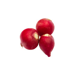 red radish isolated on white background