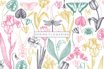 Spring flowers background. Floral invitation, greeting card design. Hand drawn insects illustrations. Botanical drawings of tulips, crocus, freesia, iris, narcissus, snowdrops, cyclamen. Vintage art