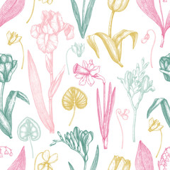 Fototapeta na wymiar Spring background with flowers drawings. Tulips, crocus, freesia, iris, narcissus, snowdrops, cyclamen. Floral seamless pattern. Hand drawn forest and garden plants illustration. Vintage design. 