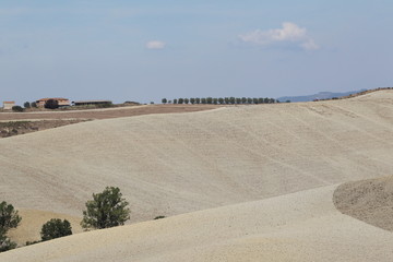 toscana