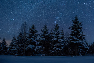 Dark sky full of shiny stars in Carpathian mountains in winter forest at night