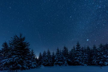 Poster Donkere hemel vol glanzende sterren in de Karpaten in het winterbos & 39 s nachts © LIGHTFIELD STUDIOS