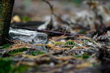 A transparent bottle thrown in the forest,.cluttered environment