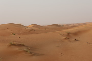Fototapeta na wymiar desert sand dunes background 