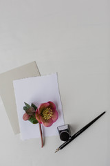 stationary with envelope on white background