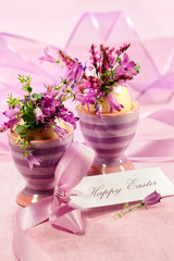 Purple flowers in egg cups for Easter