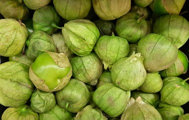 A batch of fresh green Tomatillos on a market stand. These fruits are found throughout the Americas and Mexico, and are used to make various salsas and green sauces.