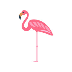 Flamingo illustration vector